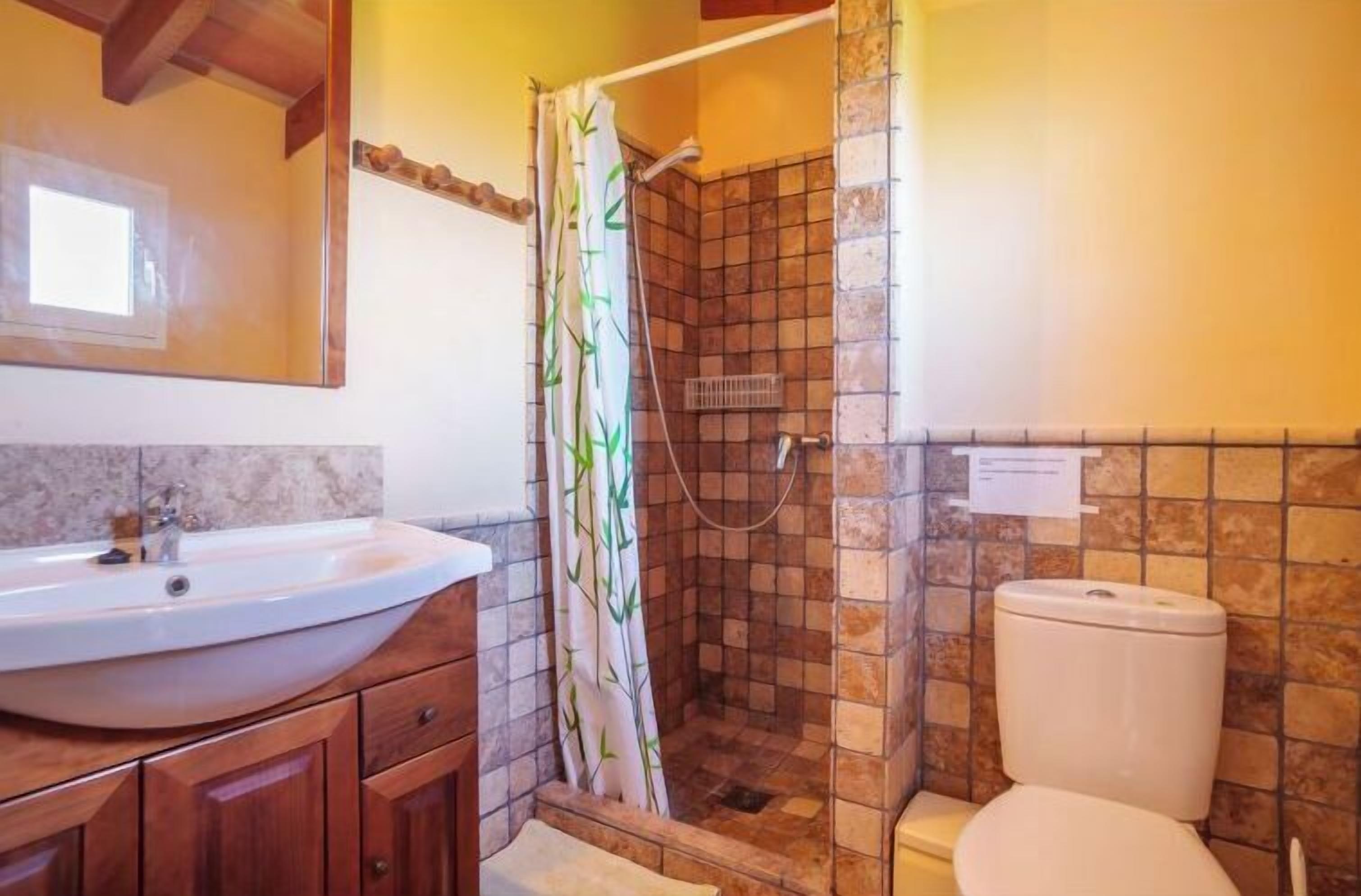 Une salle de bain avec un lavabo, des toilettes et une douche.