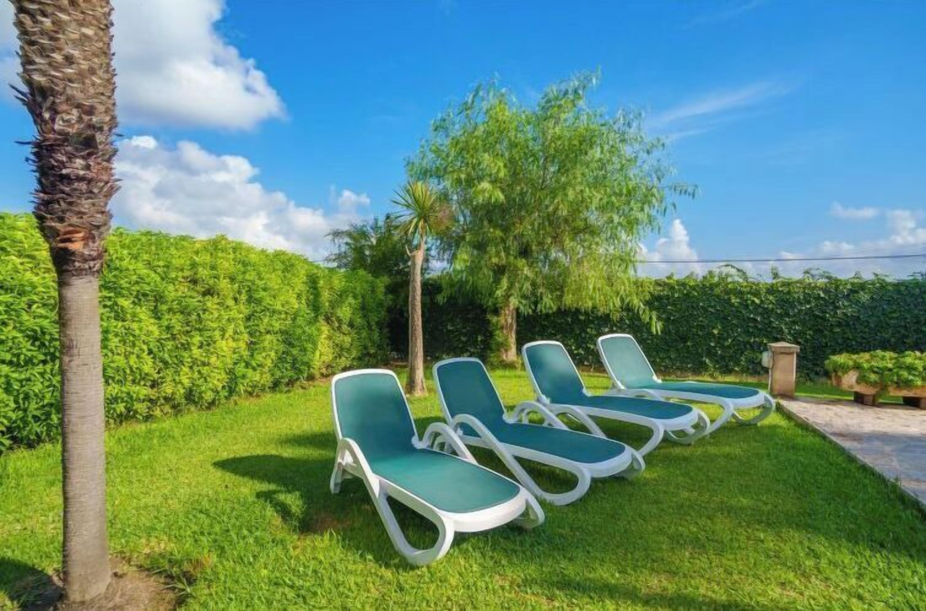 Une rangée de fauteuils de jardin verts est disposée dans un espace herbeux, avec un palmier et un feuillage dense en arrière-plan.