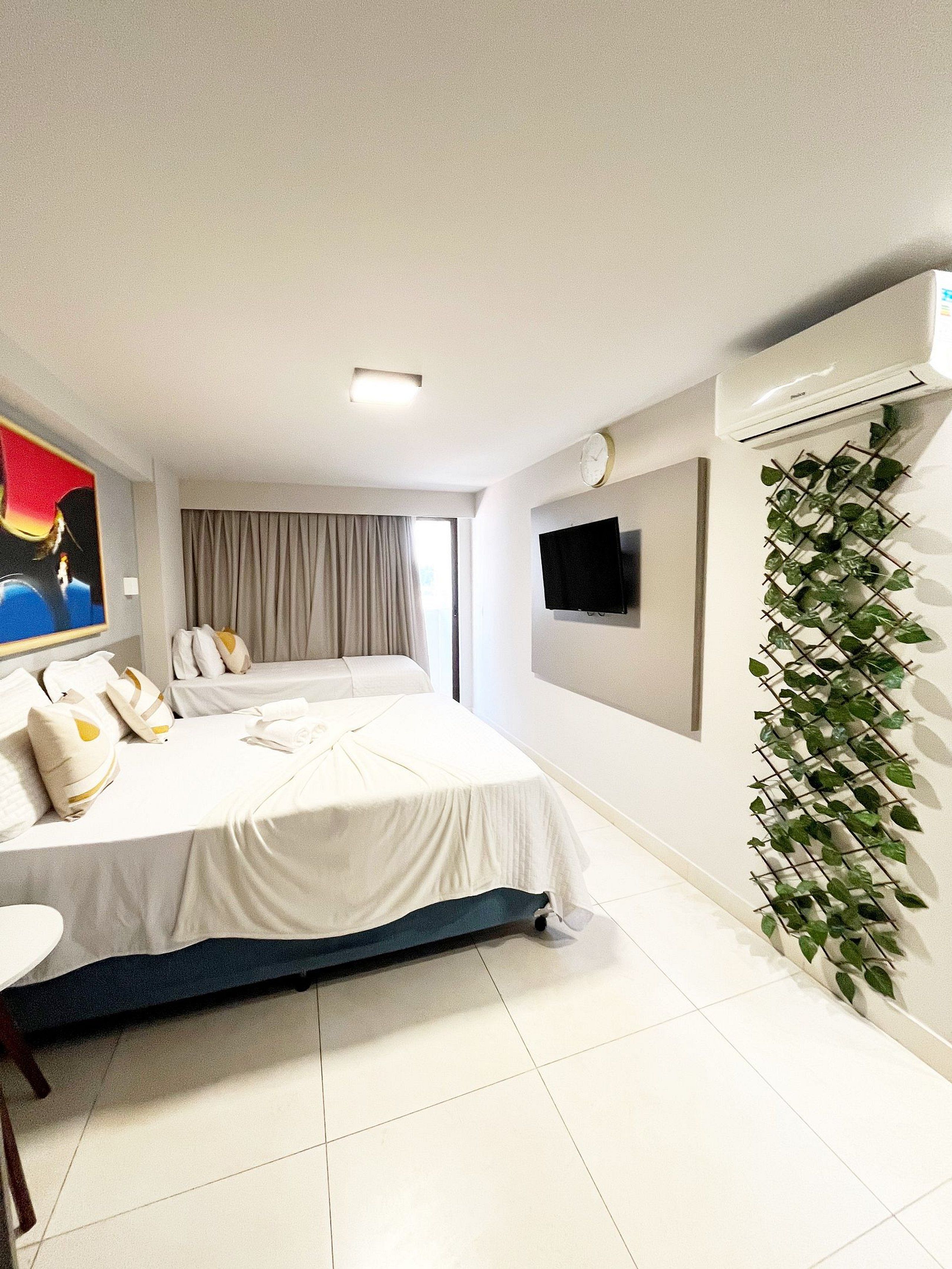 Quarto de hotel com uma cama, televisão de tela plana, ar-condicionado e uma planta fixada na parede.
