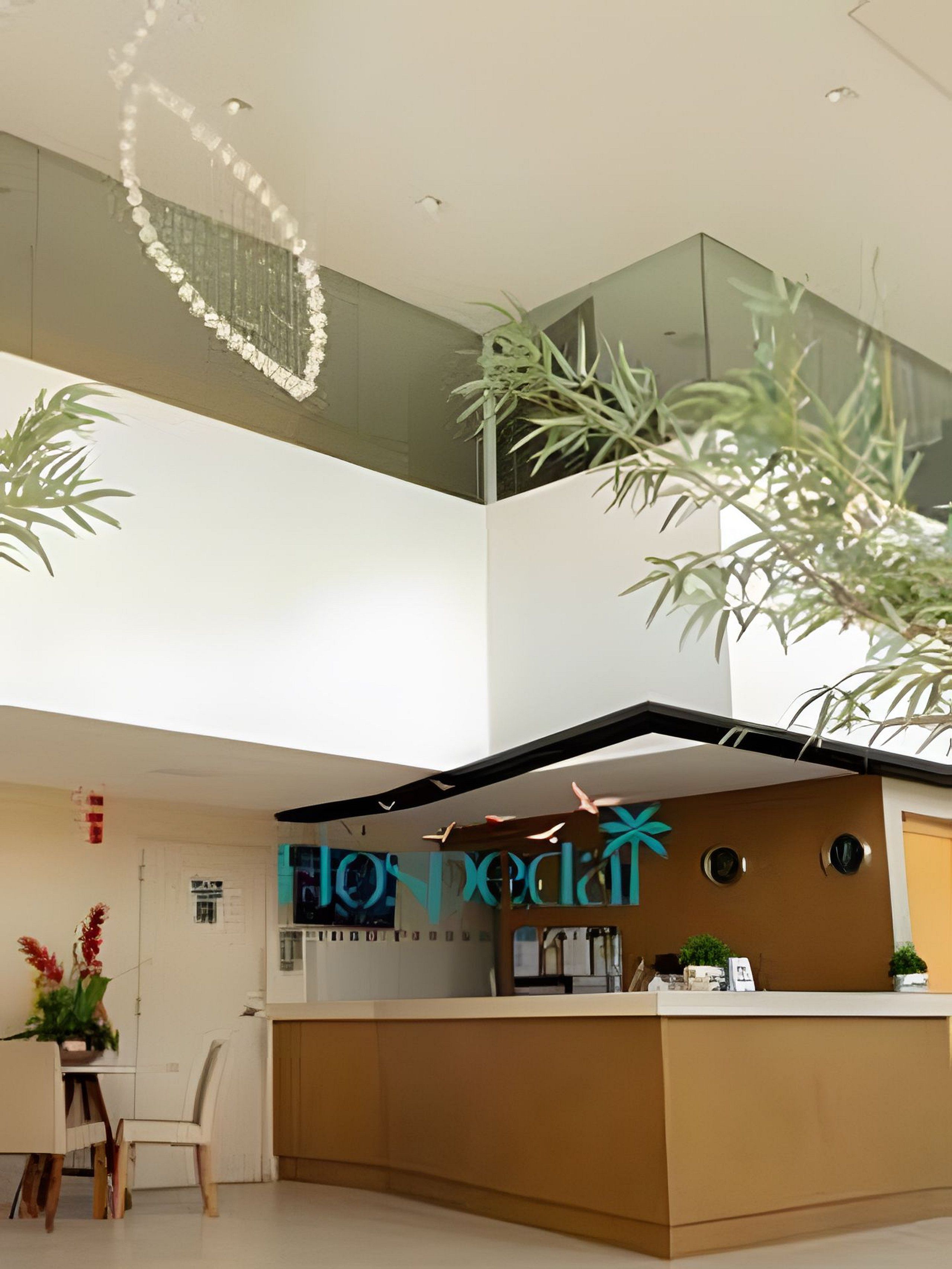 Un área de recepción moderna con techo de vidrio, mostrador de recepción y plantas de interior.