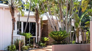 Un espace extérieur bien entretenu, avec un sentier, des palmiers et un bâtiment doté de grandes fenêtres.