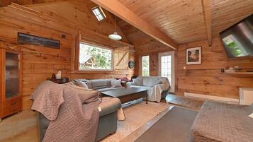 Smart TV, fireplace, DVD player, books