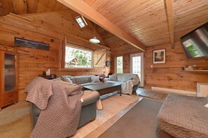 Smart TV, fireplace, DVD player, books