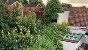 Un jardin avec différentes plantes et fleurs, une clôture en bois et un bac à compost.