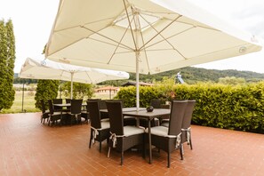 Terrace/patio - HANUL CONITEI (Sovata)