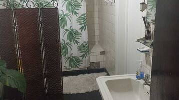 Combined shower/bathtub, bidet