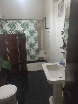 Een bad/douchecombinatie, een bidet