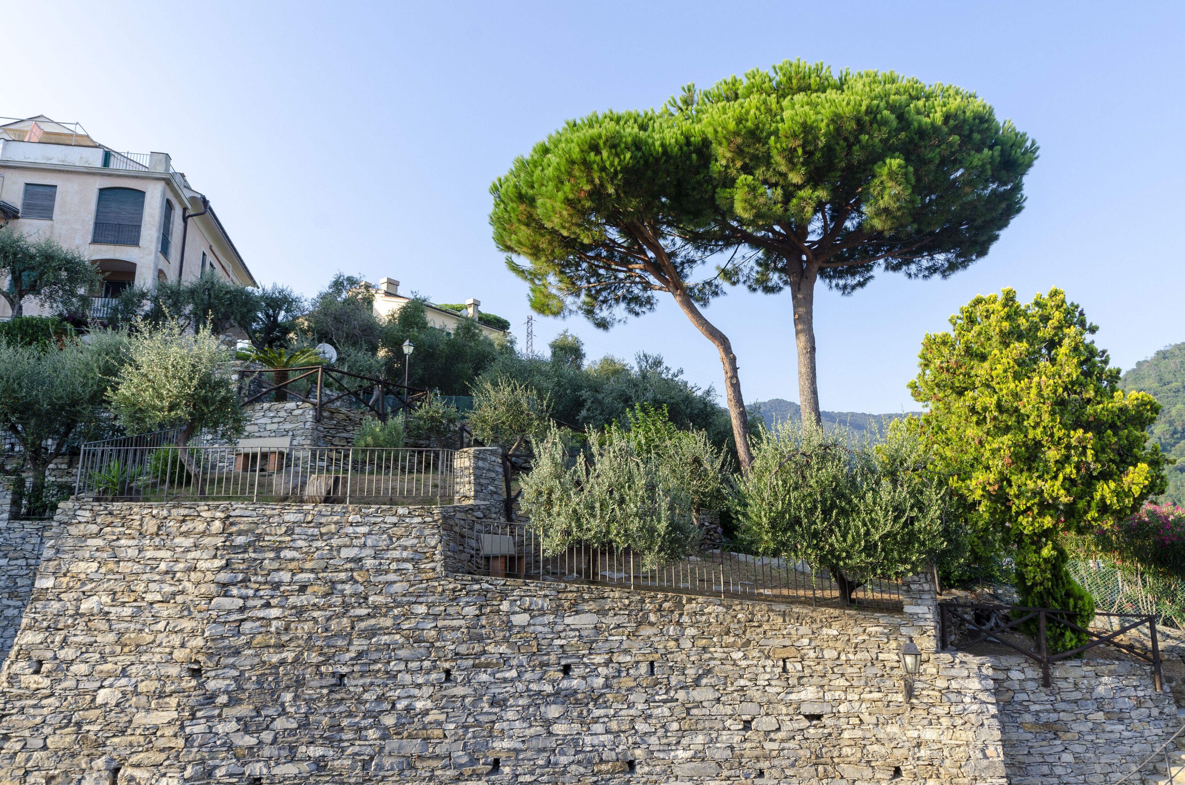 Un muro in pietra con una recinzione in metallo, un grande albero e un edificio con tetto spiovente sullo sfondo.