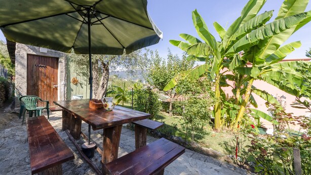 Una mesa de madera al aire libre con bancos y un paraguas verde, rodeada de abundante vegetación y un edificio de piedra.