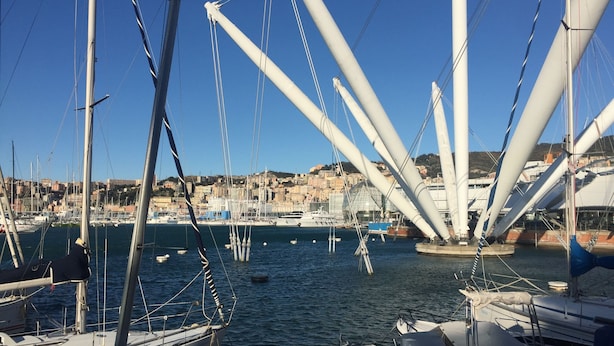 Un puerto deportivo con varias embarcaciones amarradas, un cielo azul despejado y un paisaje urbano al fondo.