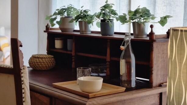 Una estantería de madera con plantas en macetas, una botella de vidrio, un cuenco blanco y una cesta tejida.