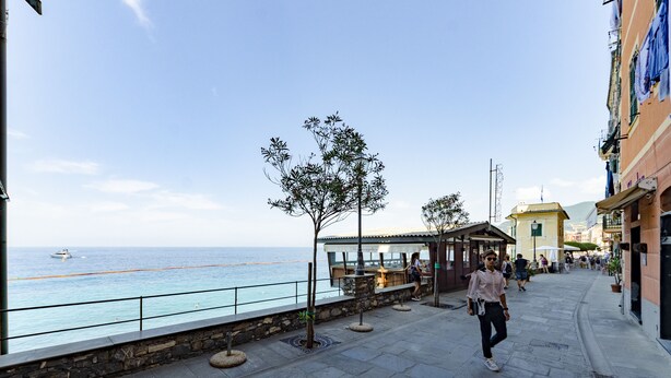 A coastal walkway with stone paving, a few trees, and a view of the sea. - JOIVY Flat By The Sea Promenade (Camogli)