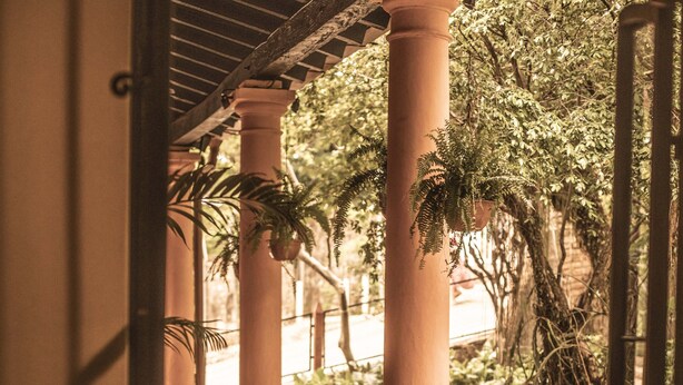 An outdoor patio area with tables and chairs, surrounded by columns and potted plants.
