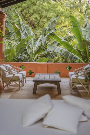 Estudi en suite superior | Terrassa o pati