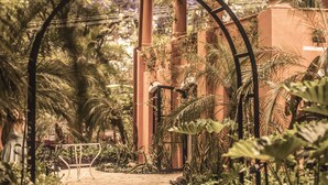 A garden pathway with a metal archway, surrounded by lush greenery and a building with columns.