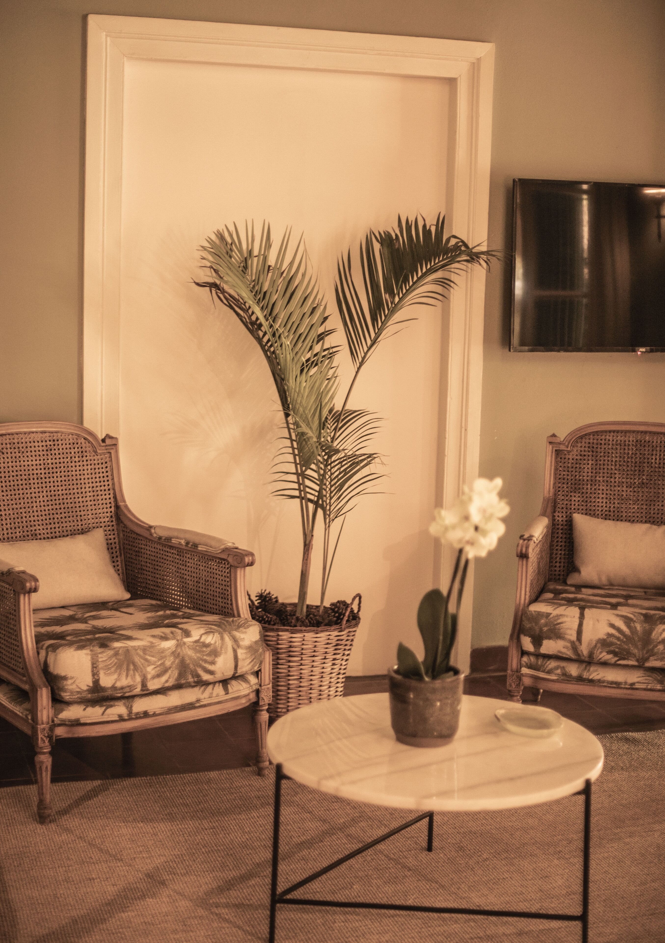 A room with two wicker armchairs, a small round table, and a potted plant.