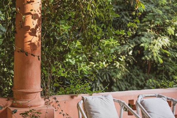 Suite estudio superior | Terraza o patio