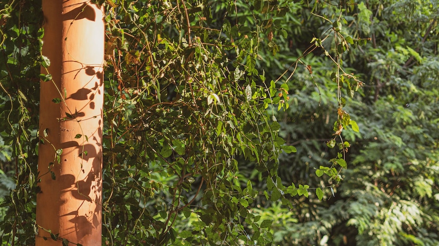 Casa La Lilia - Villa María Hotel