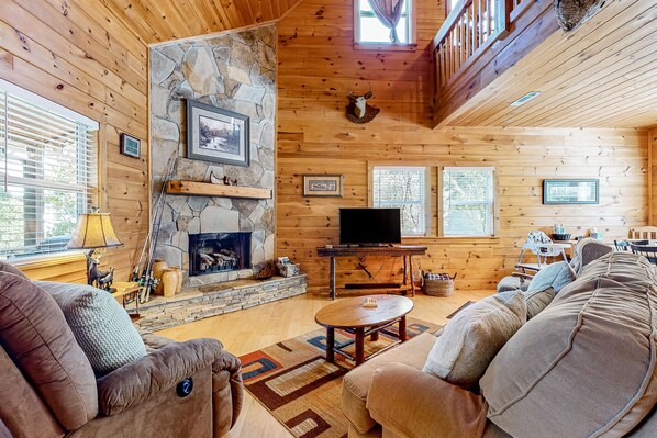 TV, fireplace, books