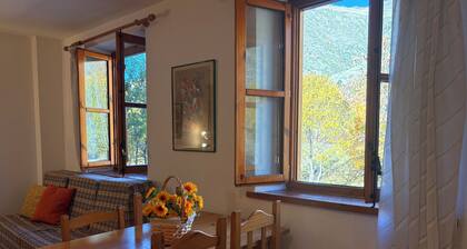 Small studio - Cuc 7