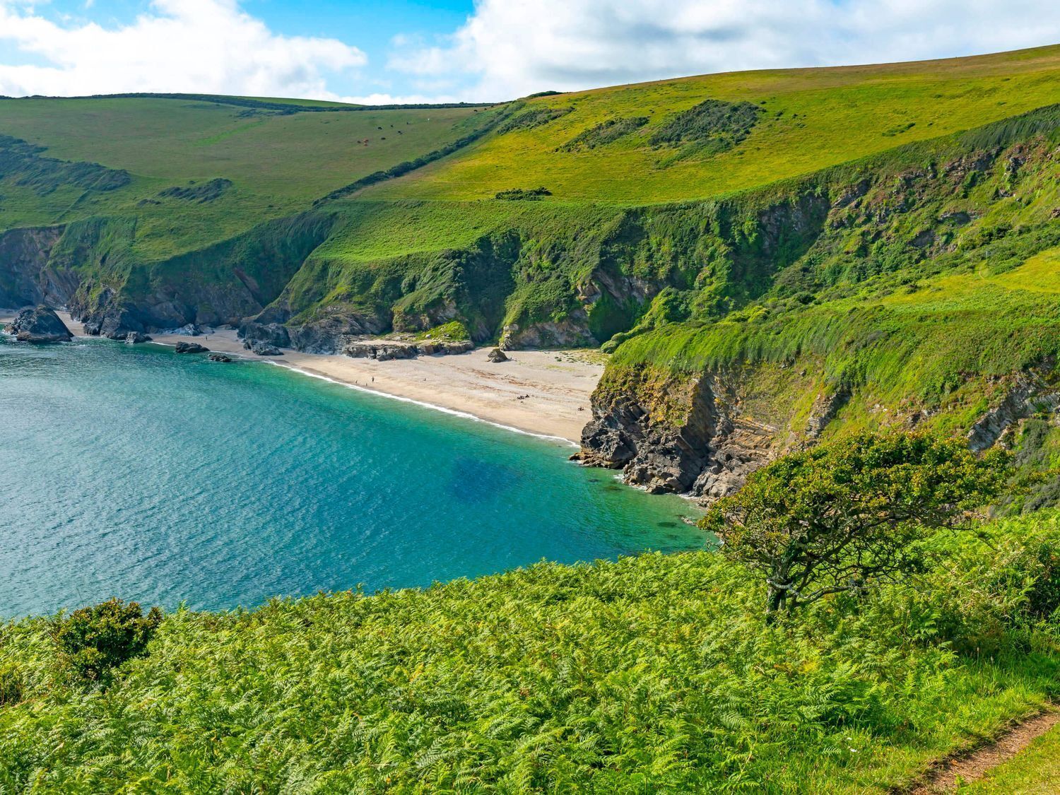 A coastal landscape with a beach, cliffs, and a clear view of the sea.