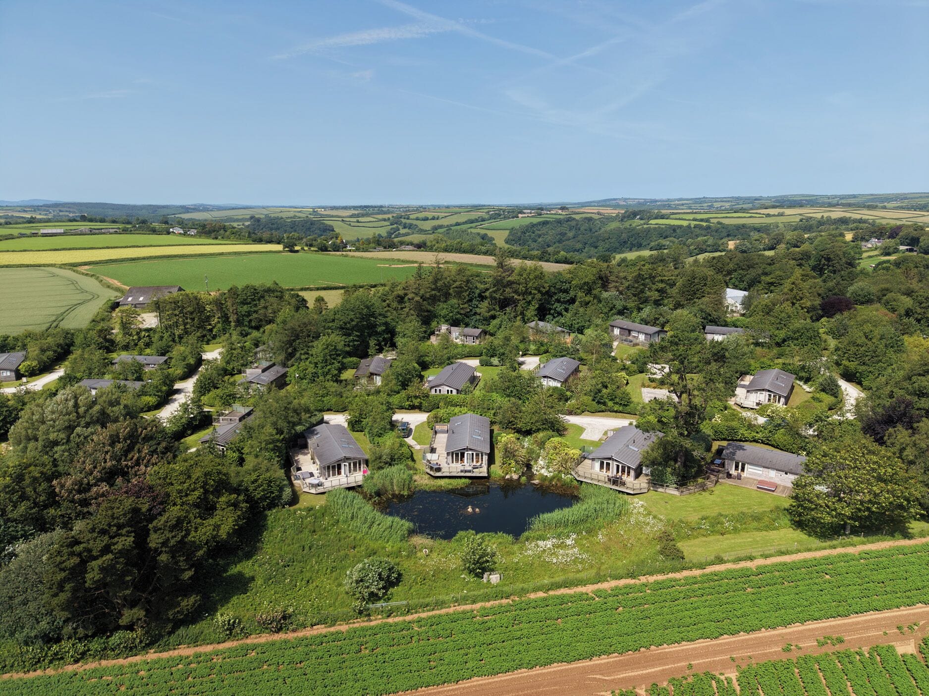 A residential area with houses surrounded by greenery and fields.