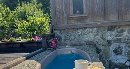 Mendocino Coast Home with Sauna and Fireplace