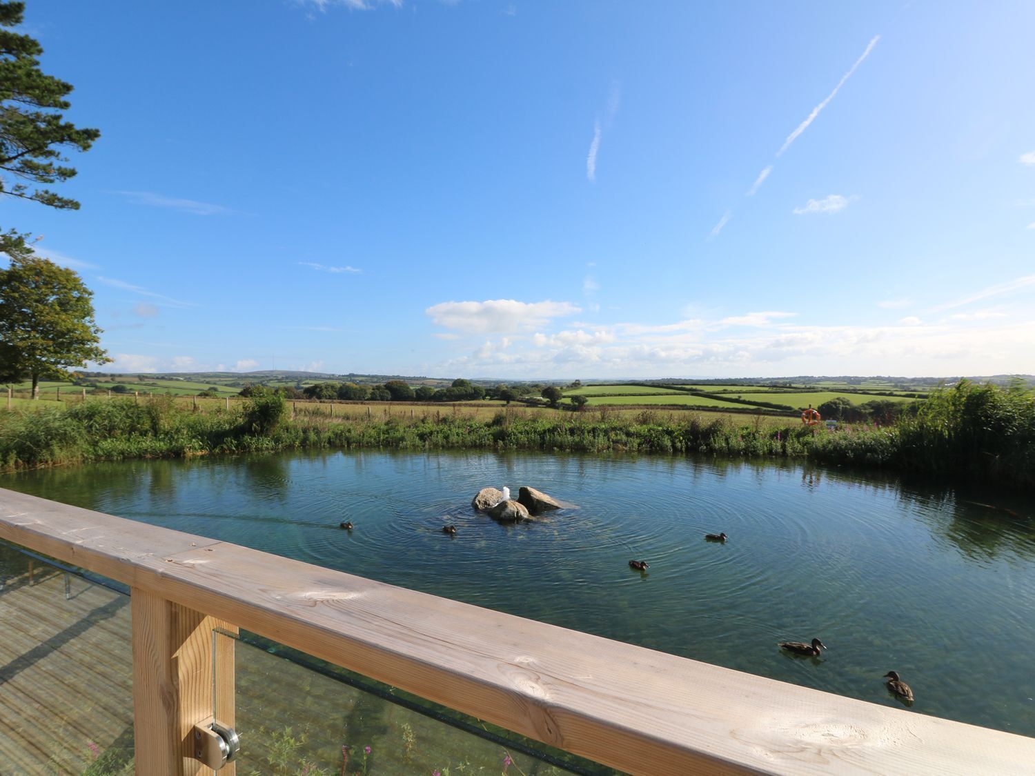 Una terraza de madera con vistas a un estanque donde nadan patos, rodeada de campos verdes y un cielo despejado.