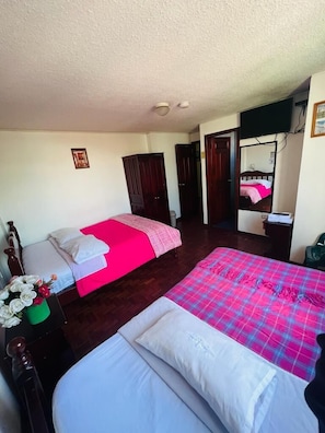 Habitación familiar con 1 cama matrimonial o 2 individuales | Ropa de cama de alta calidad, edredón, muebles diferentes y escritorio