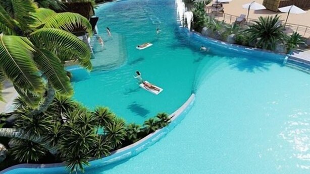 Une grande piscine aux eaux cristallines, bordée de palmiers et de chaises longues.