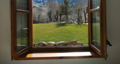 First floor apartment with garden Dellui 2