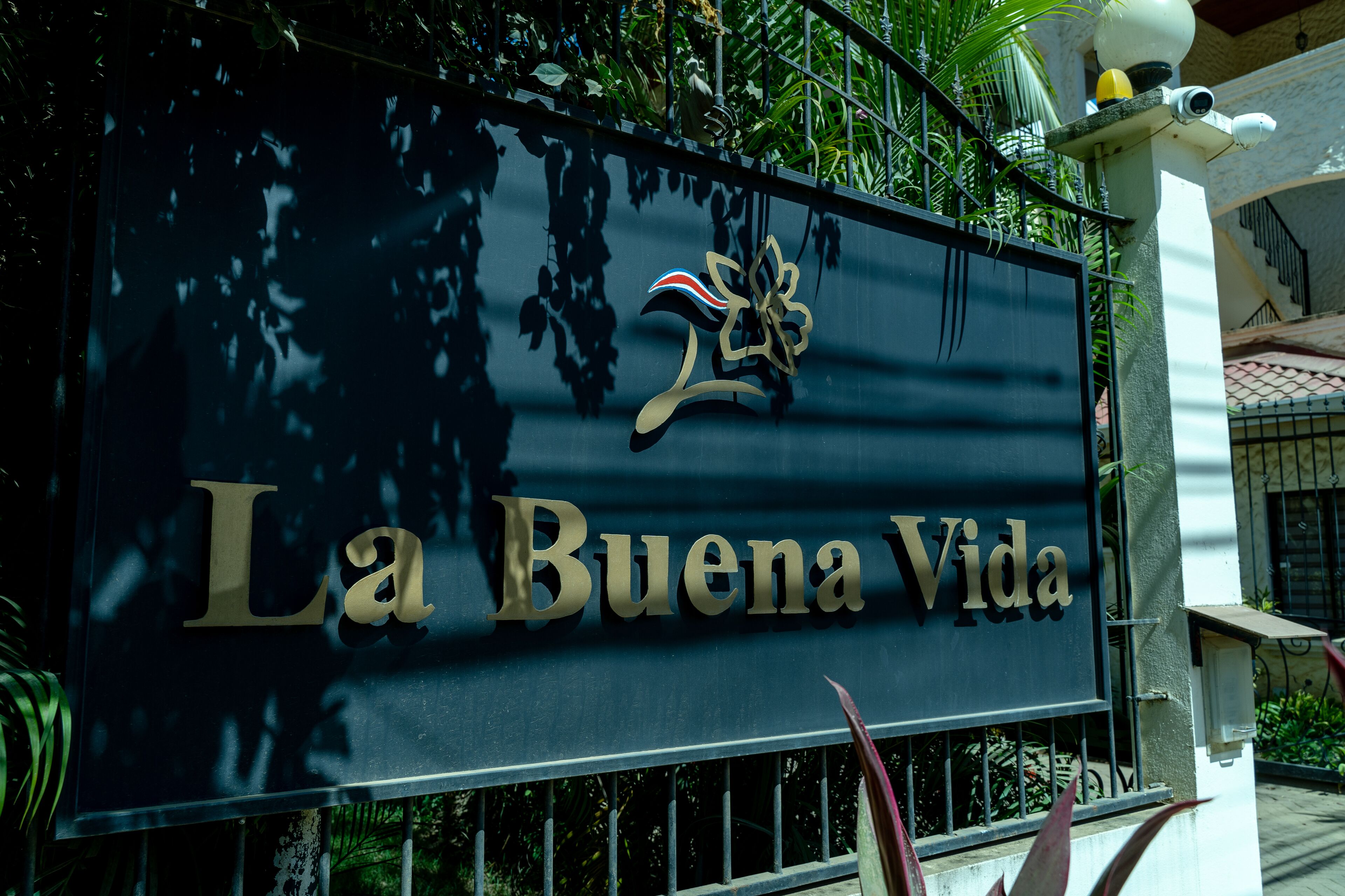 A sign with "La Buena Vida" and a logo, surrounded by greenery.