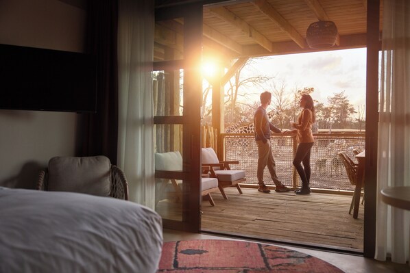 Vista desde la habitación