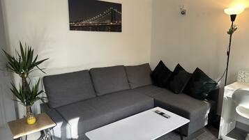 Deluxe Apartment | Living area