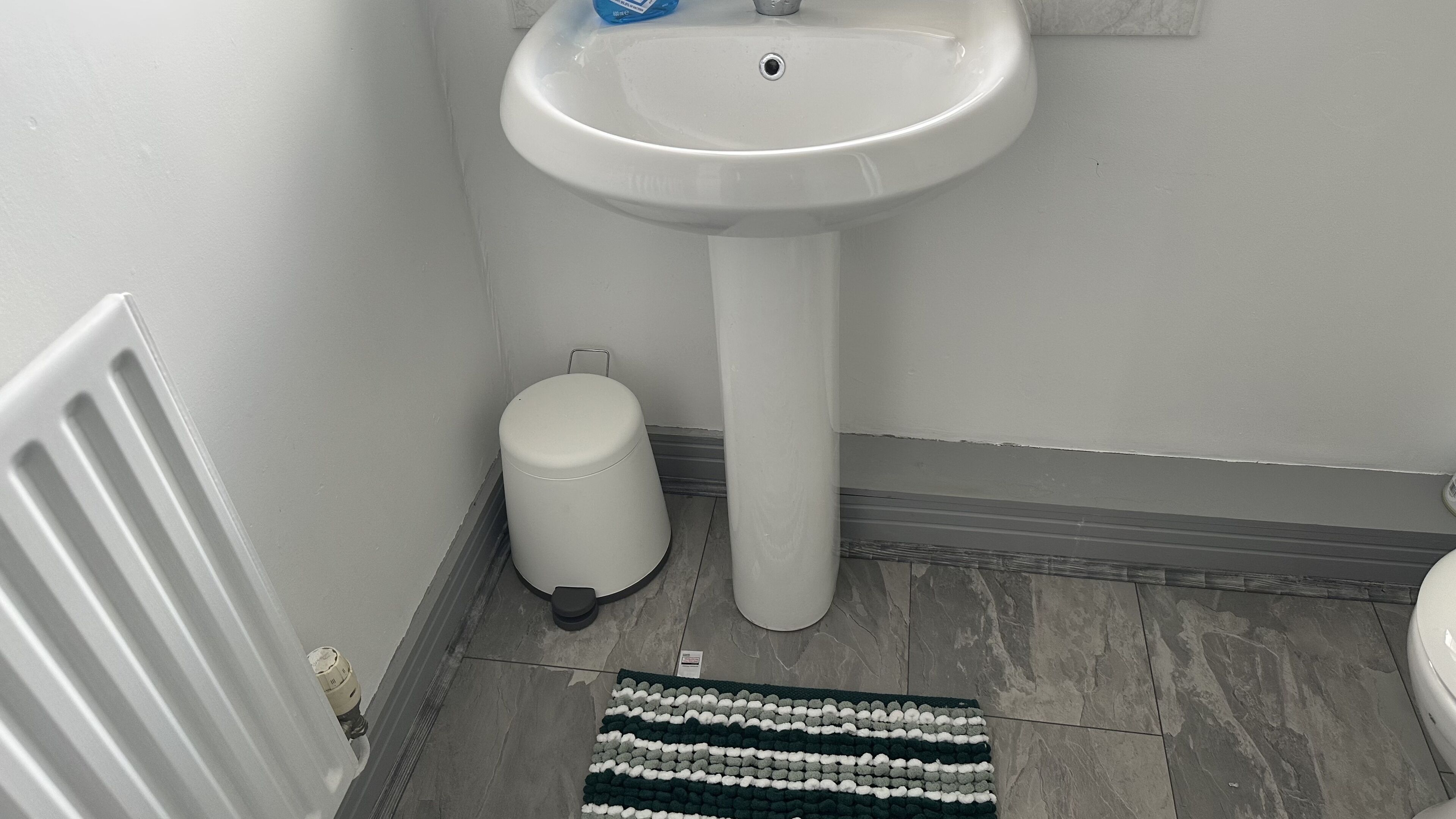 Une salle de bain avec un lavabo sur pied blanc, des toilettes, une poubelle blanche et un tapis rayé sur le sol.