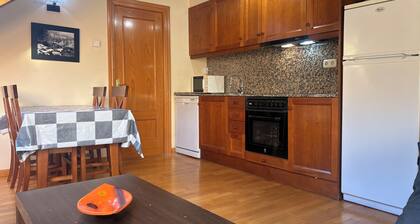 Attic apartment with velux erta 3