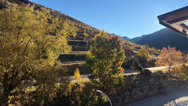 Vista de viñedos en terrazas con un muro de piedra y una calle en primer plano.