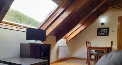 Attic apartment with velux erta 3