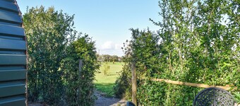 Privet Pod - UK41394