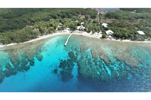 Beach - Pelican's Nest Oceanfront Vacation Home (Utila)