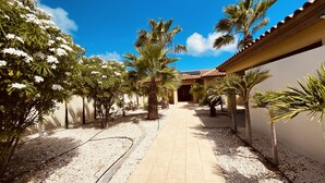 A pathway flanked by palm trees and white flowering plants, leading to a building with a tiled roof and beige walls. - Villa Mi Dushi Cas Aruba (Noord)
