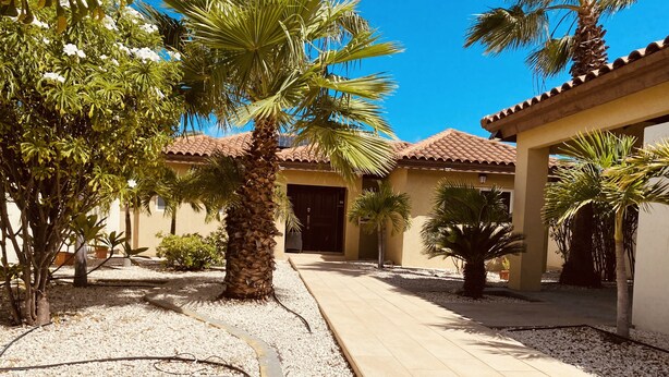 A courtyard with palm trees, a tiled pathway, and a building with a tiled roof. - Villa Mi Dushi Cas Aruba (Noord)