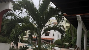 A covered outdoor area with a palm tree, a pool, and a white building with a red roof. - Condo Alamandra by TRVL2HM (Nuevo Nayarit)