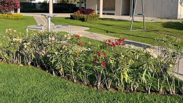 A modern building with a covered outdoor area, a pathway, and landscaped gardens with various plants.