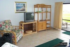 Televisión y libros