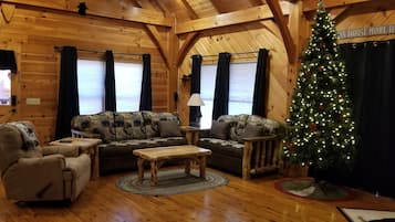 Smart TV, fireplace, DVD player, books