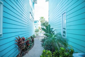 Un étroit sentier bordé de bâtiments aux couleurs turquoise, qui mène à une clôture blanche et à un palmier.