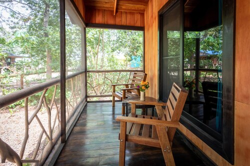 Tapir at Lost Compass Cabanas