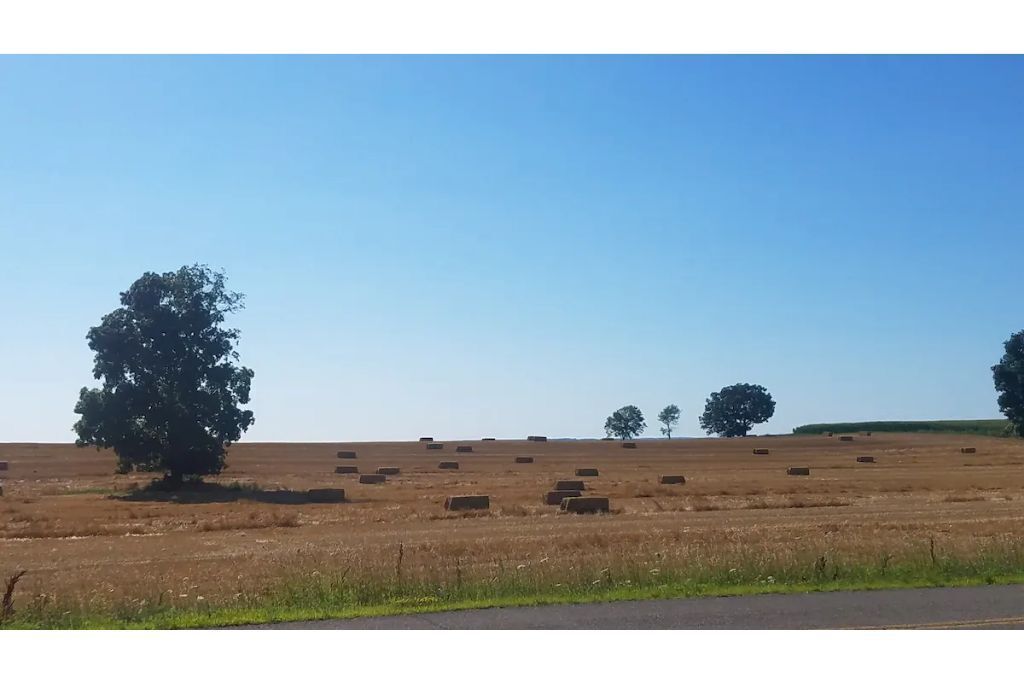 Ländliche Landschaft mit Heuballen und Bäumen.