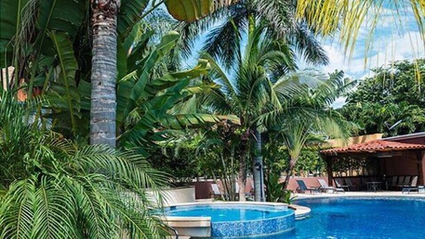 Une piscine entourée d’une végétation tropicale luxuriante, notamment des palmiers et diverses plantes vertes.